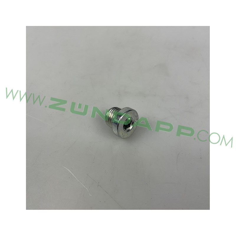 DIN 908 Kraagplug inbus M10x1.00